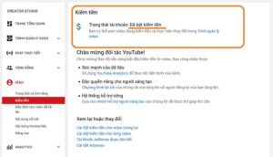 Cách kiểm tra số tiền kiếm được trên YouTube: Xem thẻ Doanh thu trong YouTube Analytics.