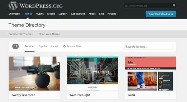 Tìm hiểu thông tin chi tiết về theme WordPress